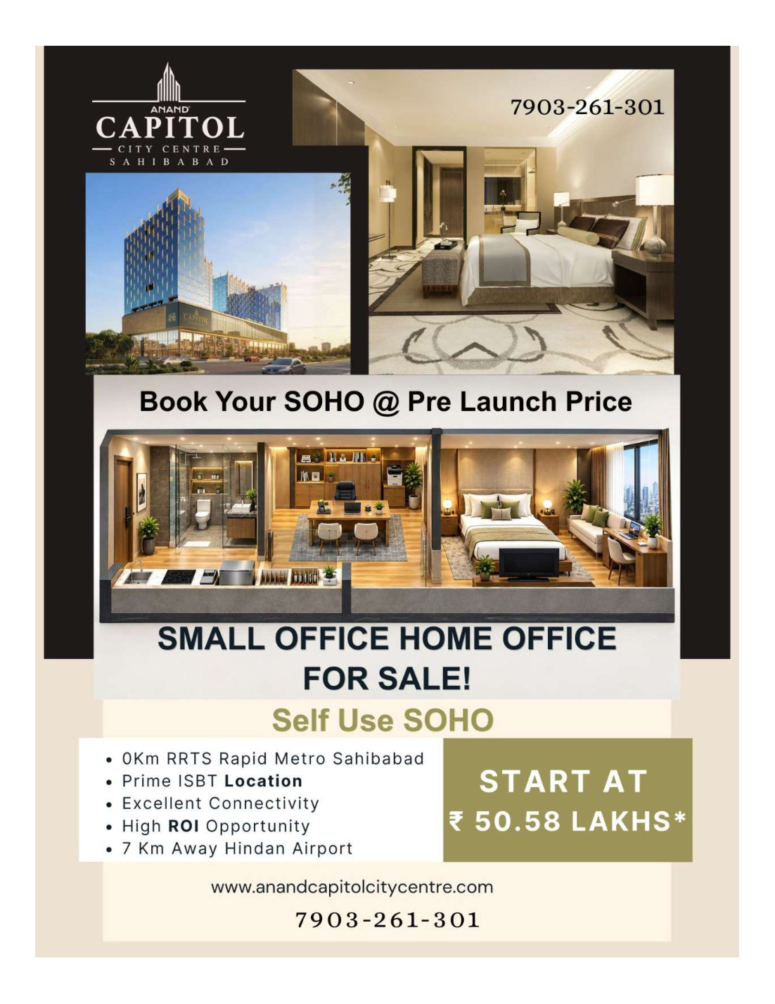 SOHO project pamphlet preview